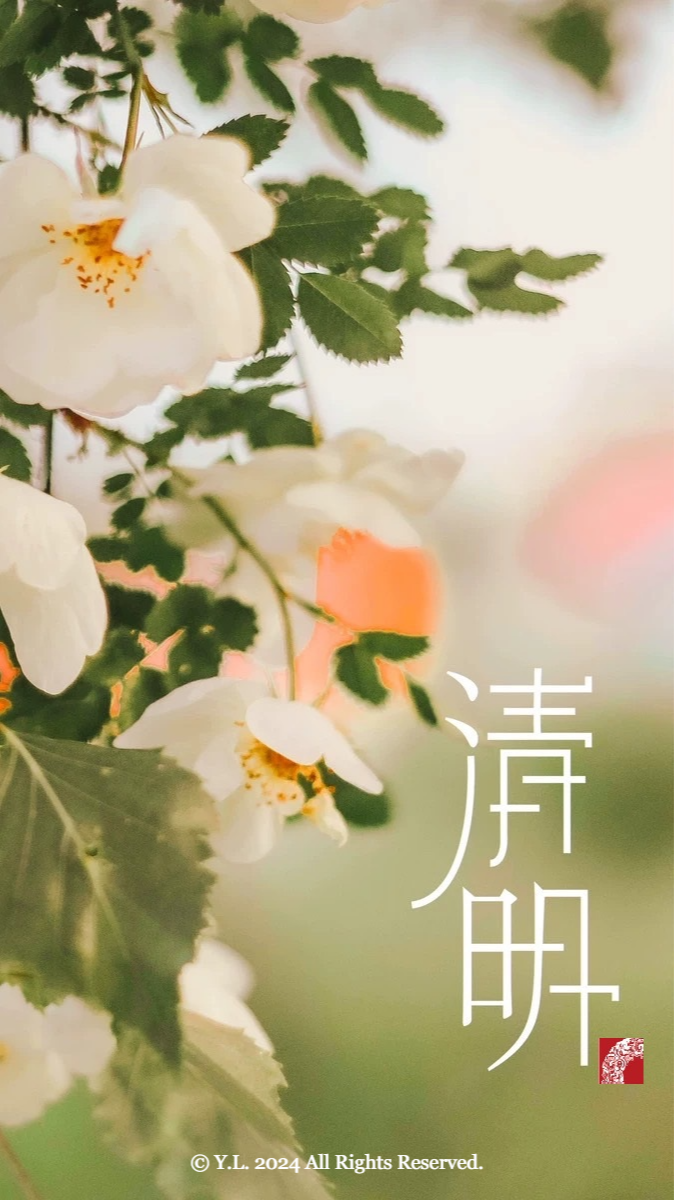 清明雨上 願健康平安