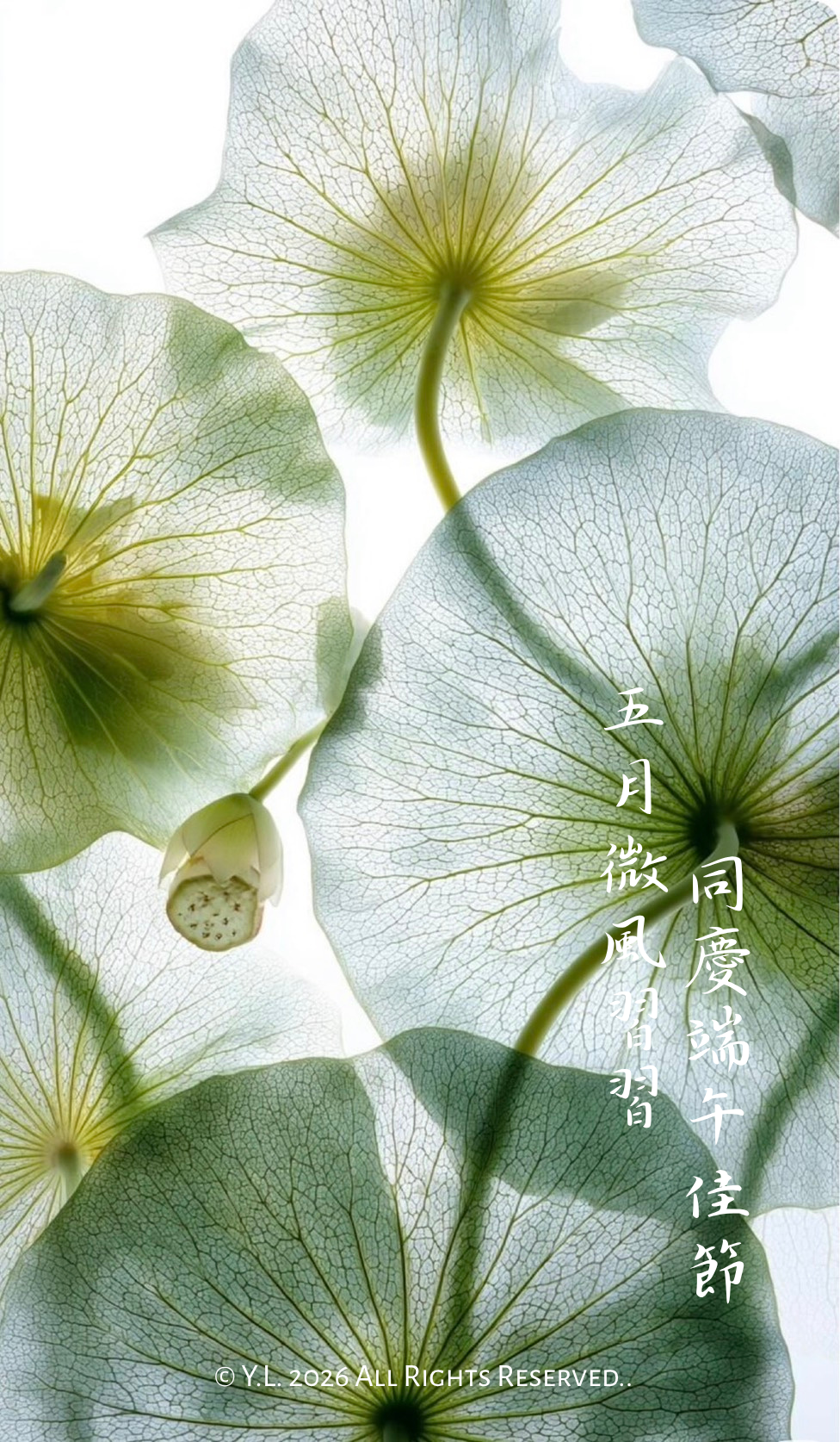 敬祝 端午安康